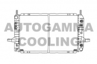 Теплообменник AUTOGAMMA 100380