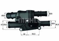 Термостат BEHR THERMOT-TRONIK TM 1 105