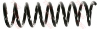 Пружина TRW JCS167