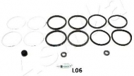 Ремкомплект ASHIKA 120-0L-L06