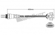 Датчик WALKER PRODUCTS 250-24612