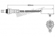 Датчик WALKER PRODUCTS 250-24003