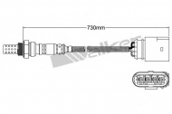Датчик WALKER PRODUCTS 250-24569