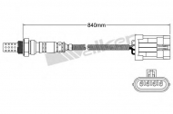 Датчик WALKER PRODUCTS 250-24406