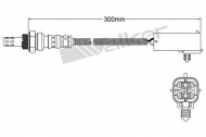 Датчик WALKER PRODUCTS 250-24004