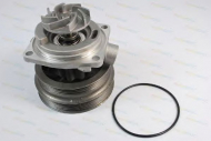 Насос THERMOTEC D1F070TT