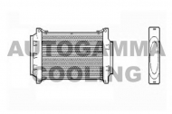 Теплообменник AUTOGAMMA 103203