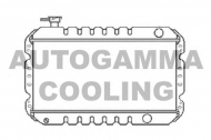 Теплообменник AUTOGAMMA 105891