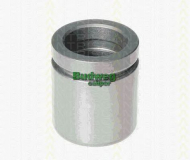 Поршень TRISCAN 8170 234421
