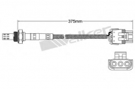 Датчик WALKER PRODUCTS 250-23828