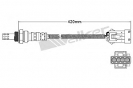 Датчик WALKER PRODUCTS 250-24497