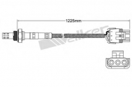 Датчик WALKER PRODUCTS 250-23146