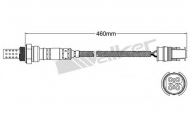 Датчик WALKER PRODUCTS 250-24412