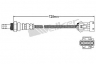 Датчик WALKER PRODUCTS 250-24842