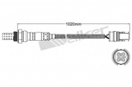 Датчик WALKER PRODUCTS 250-24551