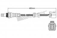 Датчик WALKER PRODUCTS 250-24343