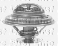 Термостат FIRST LINE FTS172.80