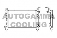 Теплообменник AUTOGAMMA 100141