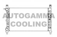 Теплообменник AUTOGAMMA 100318
