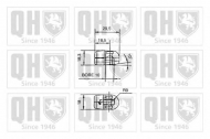 Газовая пружина QUINTON HAZELL QTS128542