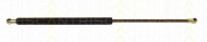 Газовая пружина TRISCAN 8710 16220