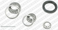 Комплект подшипника SNR R152.17