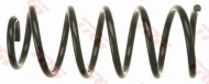 Пружина TRW JCS1006