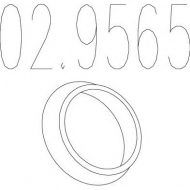 Уплотняющее кольцо MTS 02.9565