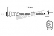 Датчик WALKER PRODUCTS 250-24473