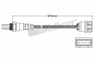 Датчик WALKER PRODUCTS 250-24428