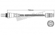 Датчик WALKER PRODUCTS 250-24466