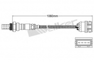 Датчик WALKER PRODUCTS 250-24526