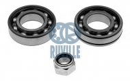 Комплект подшипника RUVILLE 5500