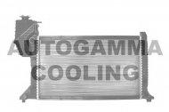Теплообменник AUTOGAMMA 101324