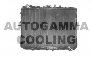 Теплообменник AUTOGAMMA 104151