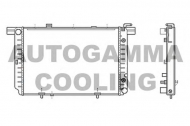 Теплообменник AUTOGAMMA 107042