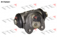 Цилиндр FTE R17025A1