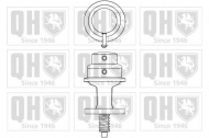Насос QUINTON HAZELL QFP313