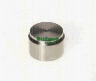 Поршень TRISCAN 8170 234613