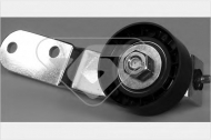 Ролик HUTCHINSON T0309