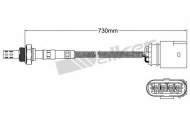 Датчик WALKER PRODUCTS 250-24558
