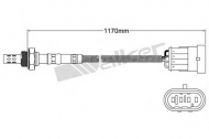 Датчик WALKER PRODUCTS 250-24530