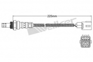 Датчик WALKER PRODUCTS 250-24927