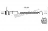 Датчик WALKER PRODUCTS 250-24169