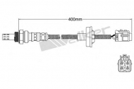 Датчик WALKER PRODUCTS 250-24289
