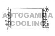 Теплообменник AUTOGAMMA 100345
