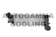 Теплообменник AUTOGAMMA 103224