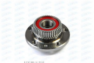 Комплект подшипника BTA H2W004BTA