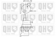 Насос QUINTON HAZELL QFP46