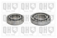 Комплект подшипника QUINTON HAZELL QWB494A